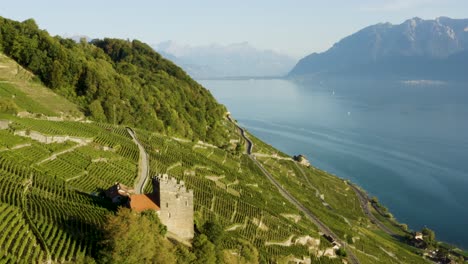 Aerial-orbit-around-medieval-tower-in-Lavaux-vineyard-Lake-Léman-and-the-Alps-in-the-background-Switzerland