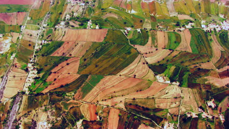 Aerial-View-Of-A-River,-Agricultural-crops-growing-on-farmland,-India