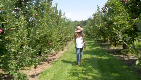Trendy-woman-walks-through-a-sunny-orchard