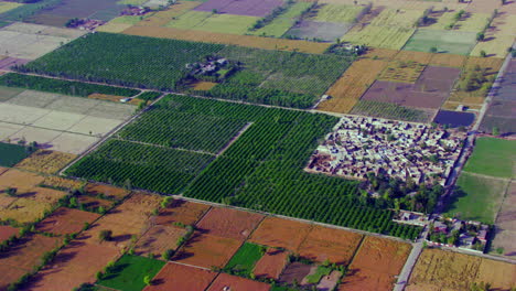 Aerial-view-of-farm-land-and-a-small-farming-community-in-Oregon,-Agricultural-crops-growing-on-farmland,-India