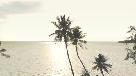 Luftflug-Gegen-Kokospalmen-Mit-Meer-Und-Sonnenlicht-Im-Hintergrund
