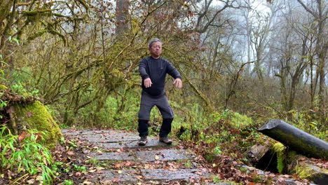 Wide-shot-of-a-asian-man-doing-Tai-Chi-in-a-forest