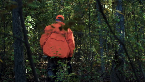 Hunters-wearing-orange-walking-through-the-forest-with-their-gun-and-hunting-dogs