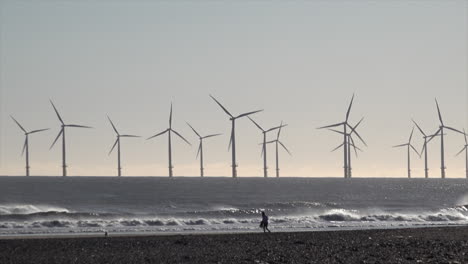 A-person-with-a-dog-walks-on-beach-in-front-of-an-offshore-wind-turbine-farm-off-the-coast-of-Hartlepool-in-the-North-Sea