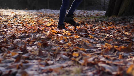 Slow-motion-shot-of-a-person-walking-through-some-fallen-frosty-leaves-from-left-to-right