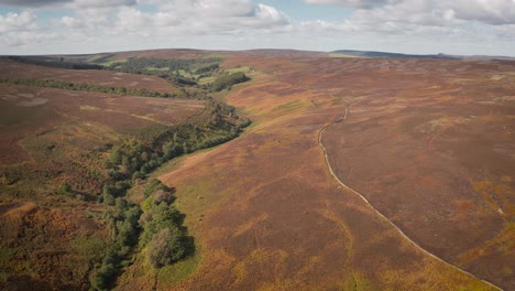 Expansive-aerial-of-colourful-North-York-Moors-in-autumn