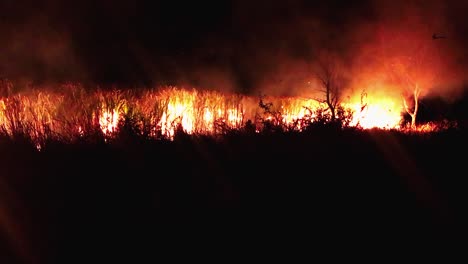 Burning-cane-field-in-Ameca,-Jalisco.-Mexico
