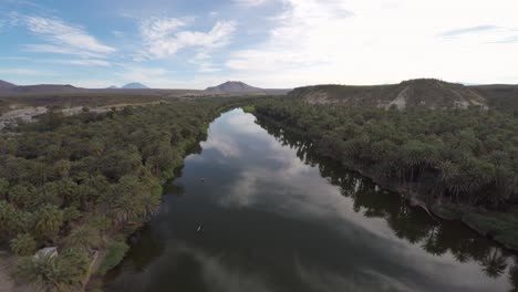Aerial-shot-of-the-San-Ignacio-River,-Mulegé-Municipality,Baja-California-Sur
