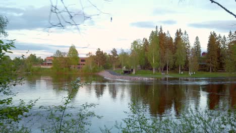 Beautiful-Norwegian-forest-in-Hedmark-county-in-Norway