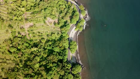 bird-eyes-view-and-flying-straight-via-drone-over-the-highway-beside-the-beach-in-Bali-4K-and-30-fps