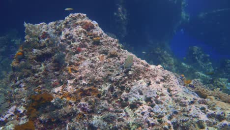 Die-Kamera-Umkreist-Einen-Korallenfelsen-Und-Hinter-Ihnen-Entdecken-Sie-Ein-Loch-In-Der-Wand