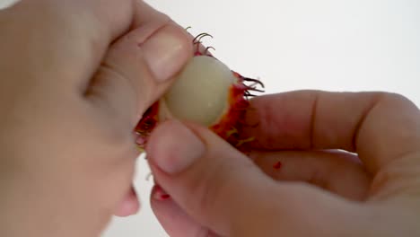 Finger-Schälen-Ungewöhnliche-Rambutan-Frucht,-Nahaufnahme,-Isoliert,-Südostasiatische-Frucht