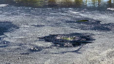 A-giant-lake-pit-where-you-can-see-active-bubbling-asphalt-at-the-La-Brea-Tar-Pits---Museum-in-Los-Angeles