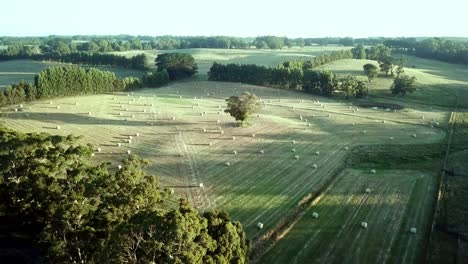 Aerial-footage-of-round-haybales-with-long-afternoon-shadows-in-a-field-near-East-Trentham,-central-Victoria,-Australia
