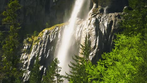 High-waterfall-on-mountain-rock-face-above-pine-trees,-tilt