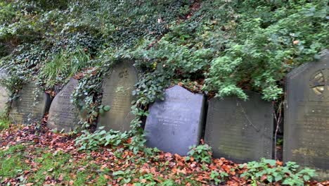 View-of-some-old-tombs-in-an-19th-century-graveyard-close-to-the-liverpool-cathedral-with-a-rat-jumping-at-the-end-of-the-clip