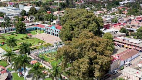 Aerial-View-of-Presidencia-municipal-Santa-MarÃ­a-del-Tule-y-Arbol-de-Tule