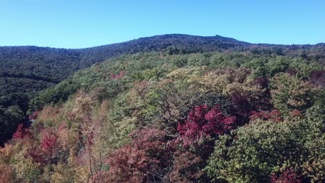 Aerial-Fall-Leaf-Color-Atop-Grandfather-Mountain-in-4k