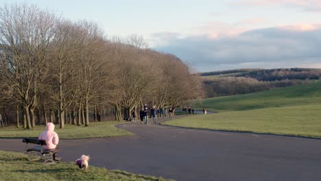 People-with-dogs-walking-in-a-park-on-a-bright-cold-winters-day-Temple-Newsam-Leeds-UK-England