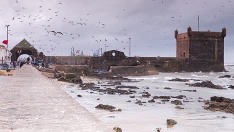 Slow-motion-of-the-waterfront-and-port-area-of-Essaouira,-Morocco-with-the-sky-filled-with-seagulls-floating-in-the-breeze