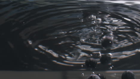 Slow-motion-shot-of-blue-berries-getting-dropped-into-the-water
