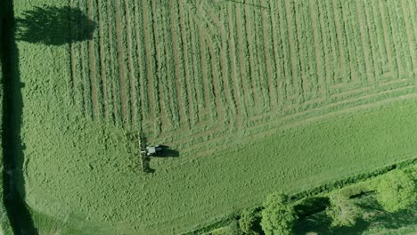 Top-down-of-a-tractor-tedding-the-cut-grass-in-the-field