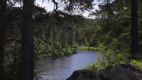 Ein-Ruhiger-Fluss-Fließt-Durch-Einen-Nordischen-Wald
