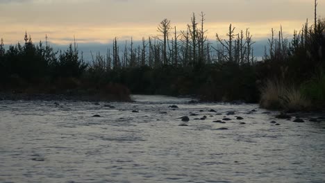 Wild-Fließender-Fluss-Und-Tote-Bäume-Im-Hintergrund,-Abend,-Zeitlupe