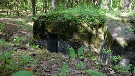 Búnker-De-Hormigón-Abandonado-De-La-Segunda-Guerra-Mundial-Escondido-En-Un-Hermoso-Bosque-Verde