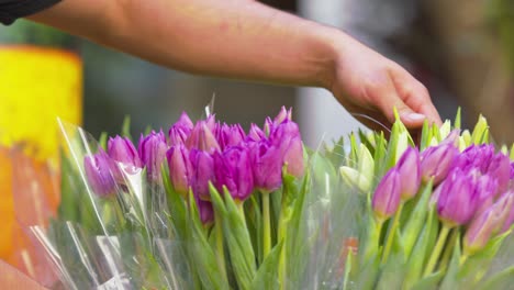 Worker-arranges-baskets-of-tulip-bouquets