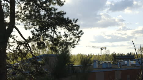 Slide-shot-from-conifer-forest-of-roof-of-building-and-distant-crane