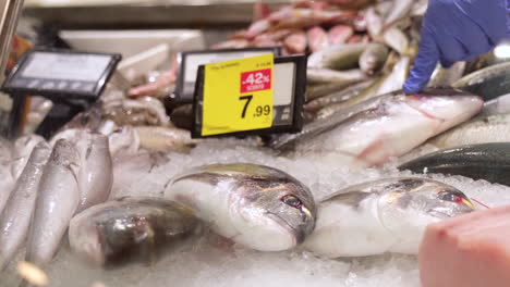 Fishmonger-indicating-and-picking-a-sea-bream-at-the-fish-shop