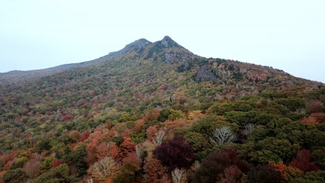 Grandfather-Mountain-NC-Aerial-Push-in-Fall-Colors,-Leaf-Color,-Leaf-Change,-Grandfather-Mountain-North-Carolina-in-4k