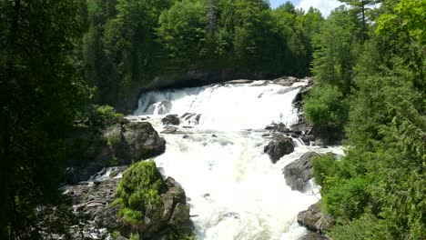 Wunderschöner-Wasserfall-In-Einem-Kiefernwald-An-Sonnigen-Sommertagen