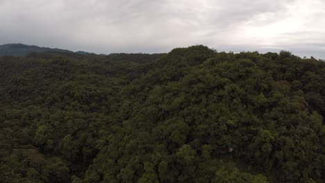 reverse-drone-flight-over-a-rain-forest-in-the-municipality-of-Córdoba,-Veracruz,-Mexico