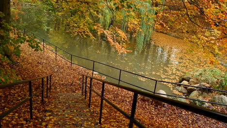 Herbstblätter-Auf-Der-Parktreppe