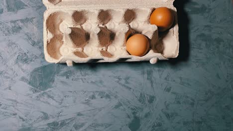 Stop-Motion-Of-Two-Organic-Eggs-Moving-Around-In-An-Egg-Tray,-overhead-shot