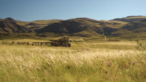 Argentinische-Farm-Ranch,-Windige-Graslandweiden-In-Südamerika