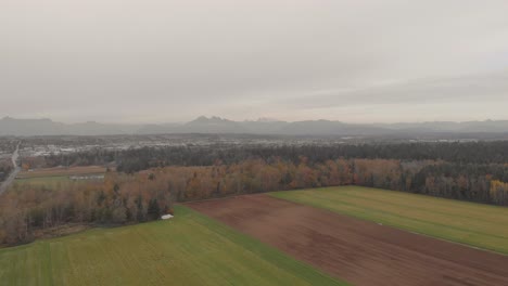 Drohnen-4K-Aufnahmen-Von-Landwirtschaftlichen-Grasfeldern,-Ackerland-In-Der-Nähe-Eines-Dichten-Waldes-In-Einer-Ländlichen-Entwicklungsumgebung,-Aufgenommen-An-Einem-Bewölkten-Tag-In-Langley,-BC