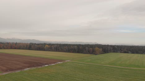 Drohnen-4K-Aufnahmen-Von-Landwirtschaftlichen-Grasflächen-In-Der-Nähe-Eines-Dichten-Waldes-In-Einer-Ländlichen-Entwicklungsumgebung
