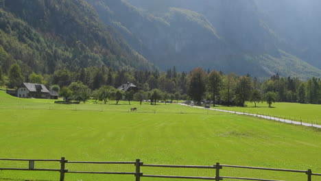 Panoramic-view-in-Logarska-valley,-Slovenia,-green-meadows-with-forest-and-high-mountains-in-background