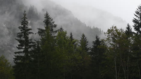 Regentag-Im-Alpental-Mit-Niedrigen-Wolken,-Logarska-Dolina,-Slowenien,-Wolken-Und-Nebel-Bewegen-Sich-Langsam-Hinter-Bäumen,-Unvorhersehbares-Bergwetter,-Gefahr-Für-Wanderer-Und-Kletterer,-4k