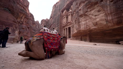 A-Camel-Facing-the-Facade-of-Al-Khazneh-or-Treasury-in-Ancient-City-of-Petra