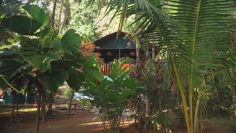 Walking-backwards-through-the-jungle-foliage-to-a-small-village-in-Punta-Banco,-Costa-Rica