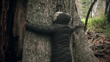 woman-huging-a-tree