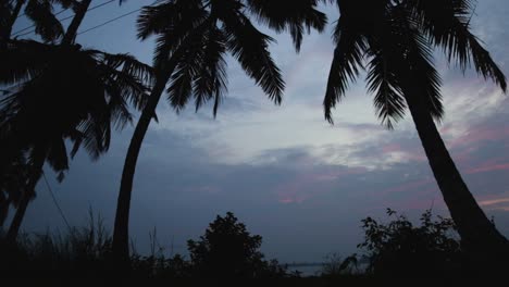 Silhouette-Von-Kokospalmen-Mit-Blick-Auf-Den-Blauen-Himmel,-Gleichmäßige-Aufnahme
