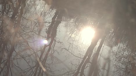 Winter-sun-reflected-in-lake