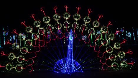 LED-Lighting-Festival-In-the-Park---Peacock-Feather-Slow-Mo
