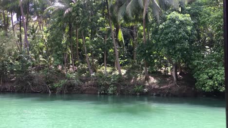 Sailing-on-The-Loboc-River-in-the-Philippines