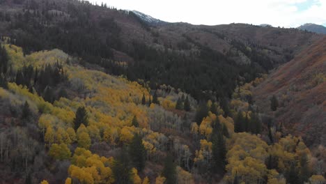 Drone-footage-of-colorful-trees-in-the-mountains
